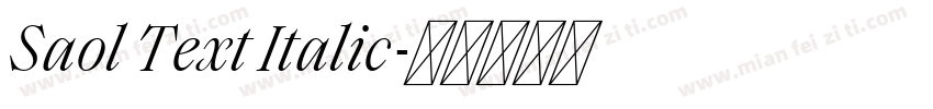 Saol Text Italic字体转换